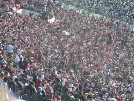 jamhor lwydad
